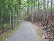 along trail