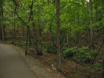 more trail